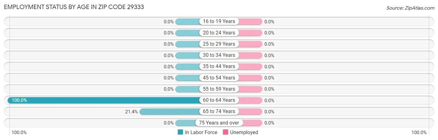 Employment Status by Age in Zip Code 29333