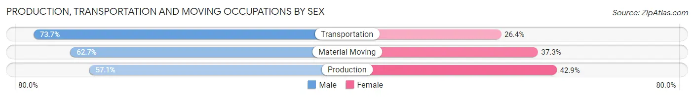 Production, Transportation and Moving Occupations by Sex in Zip Code 29334
