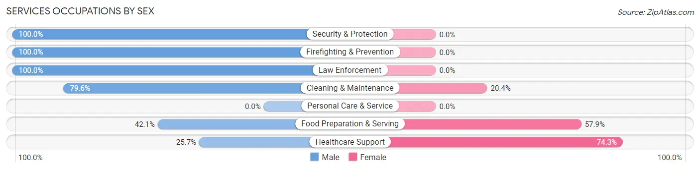 Services Occupations by Sex in Zip Code 29335