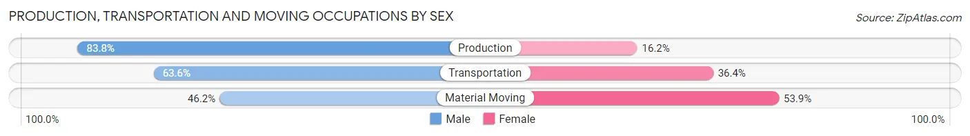 Production, Transportation and Moving Occupations by Sex in Zip Code 29356