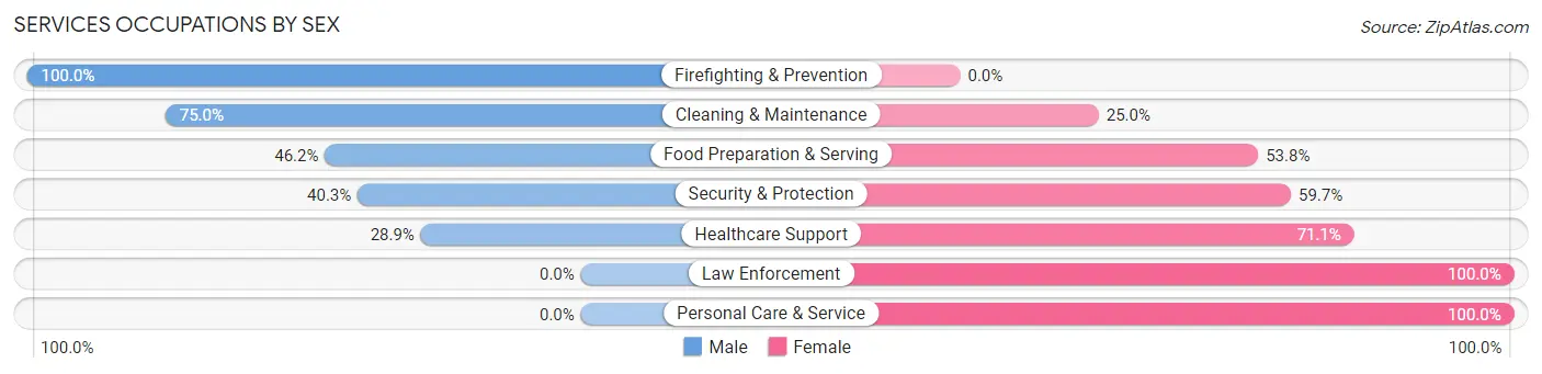 Services Occupations by Sex in Zip Code 29356