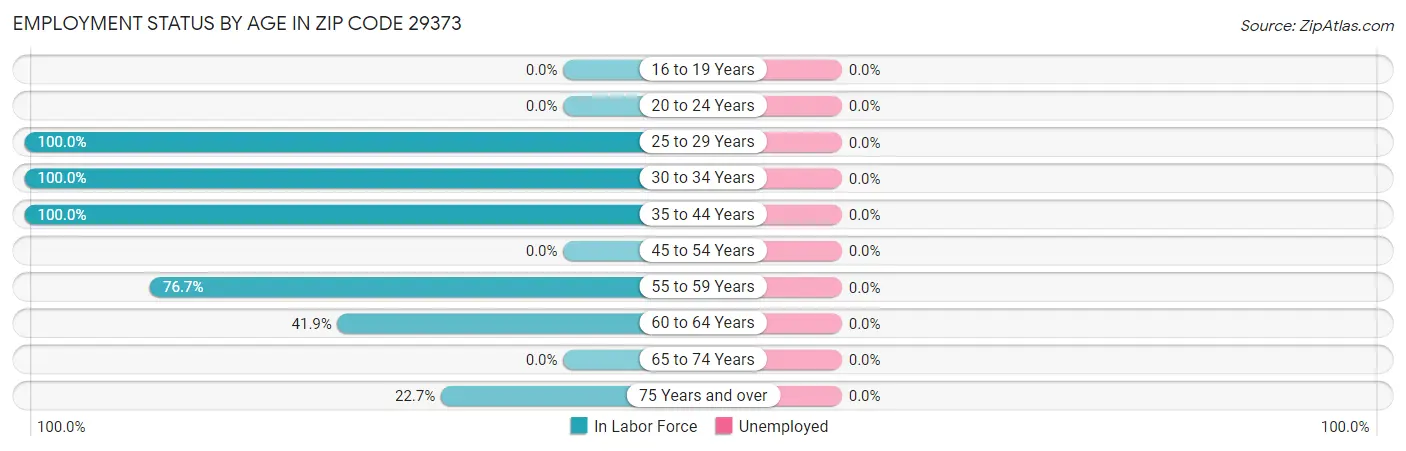 Employment Status by Age in Zip Code 29373