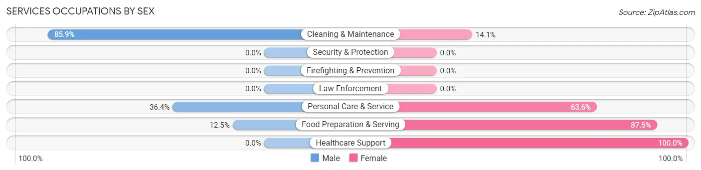 Services Occupations by Sex in Zip Code 29374