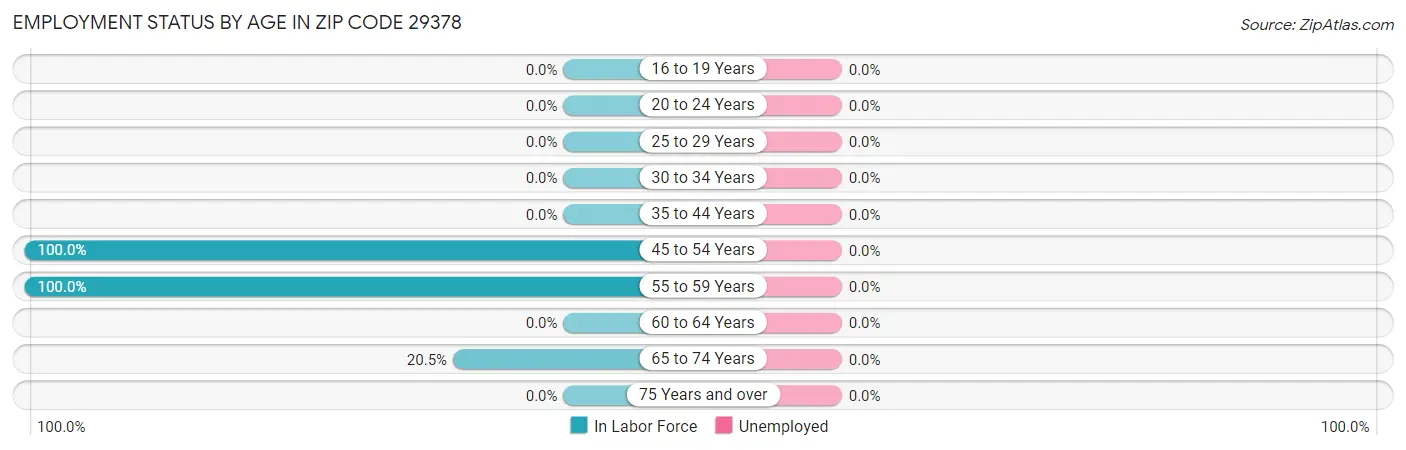 Employment Status by Age in Zip Code 29378