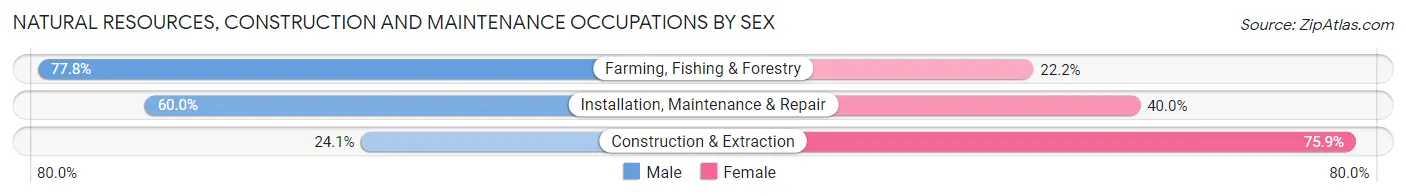 Natural Resources, Construction and Maintenance Occupations by Sex in Zip Code 29401