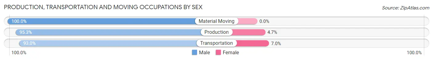 Production, Transportation and Moving Occupations by Sex in Zip Code 29401