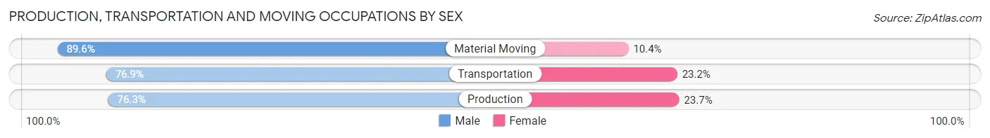 Production, Transportation and Moving Occupations by Sex in Zip Code 29407