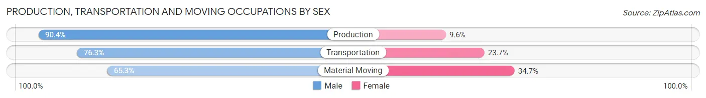 Production, Transportation and Moving Occupations by Sex in Zip Code 29410