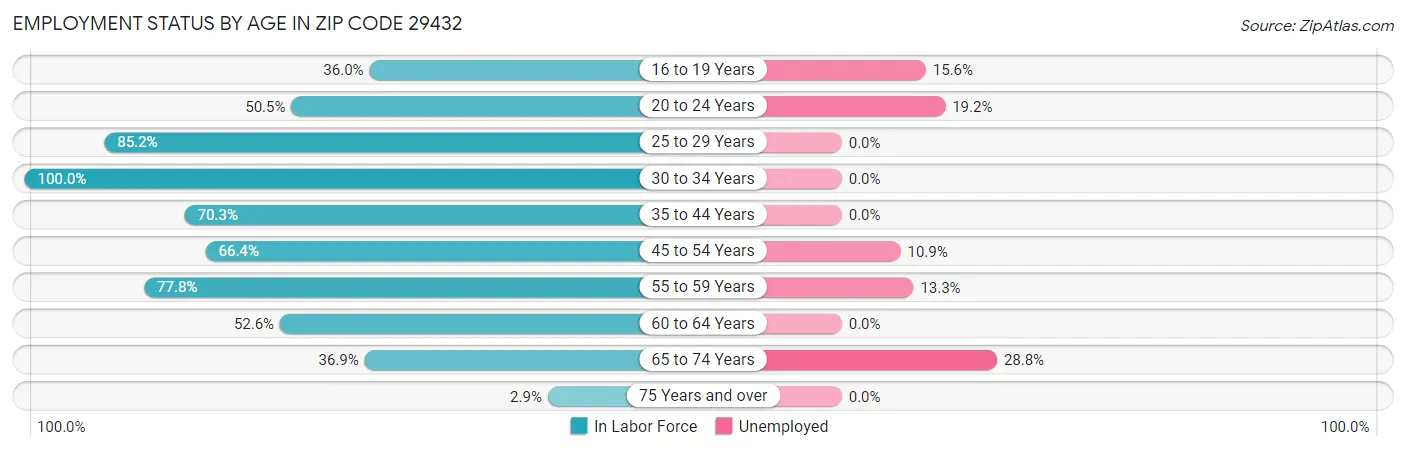 Employment Status by Age in Zip Code 29432