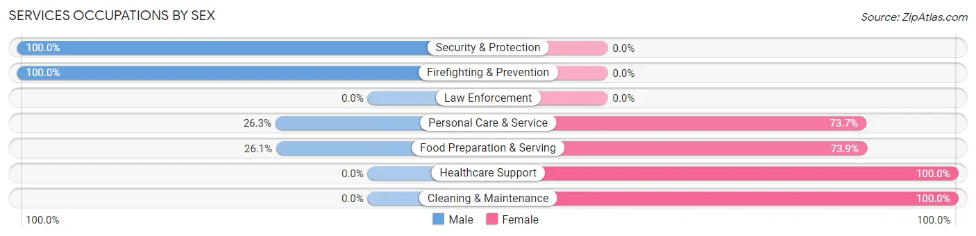 Services Occupations by Sex in Zip Code 29432