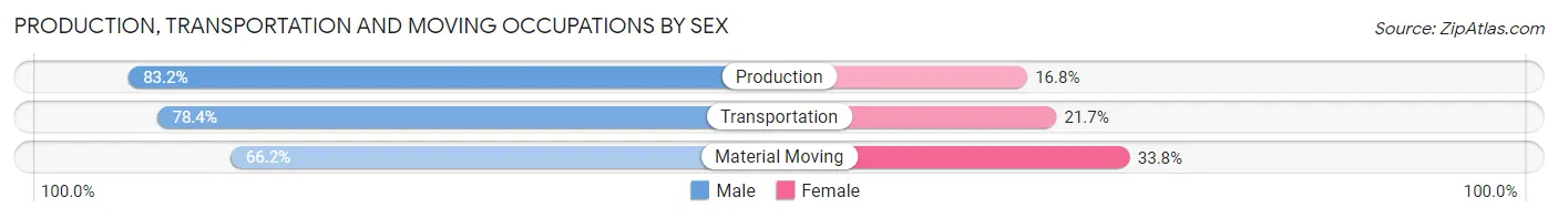 Production, Transportation and Moving Occupations by Sex in Zip Code 29485