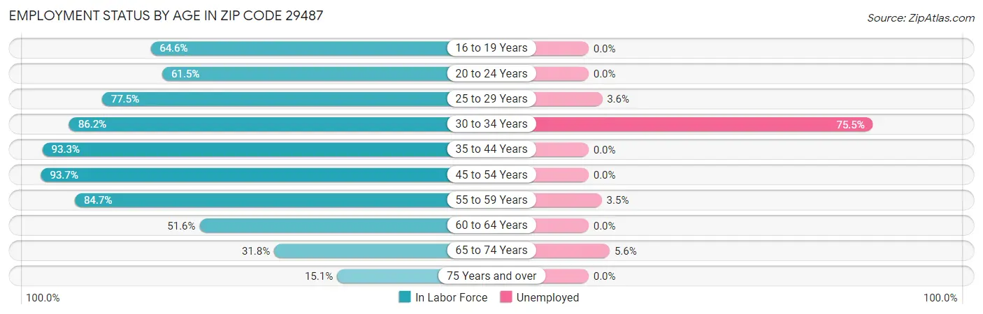 Employment Status by Age in Zip Code 29487