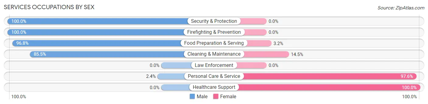 Services Occupations by Sex in Zip Code 29487