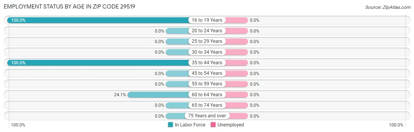 Employment Status by Age in Zip Code 29519