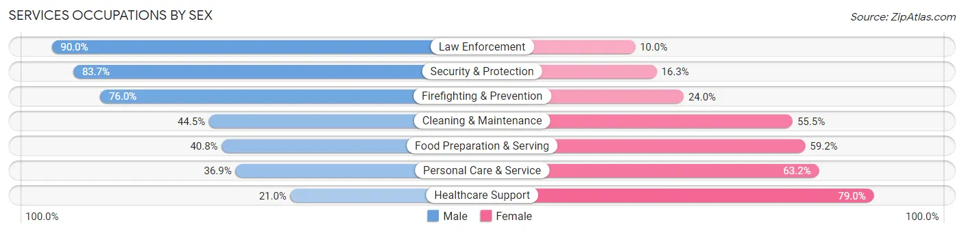 Services Occupations by Sex in Zip Code 29588