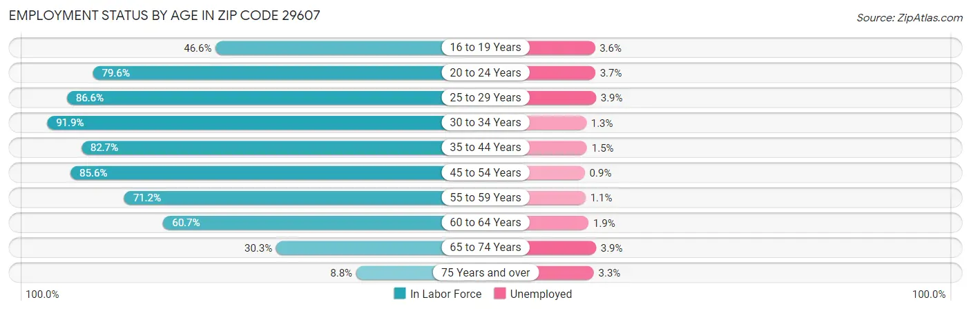 Employment Status by Age in Zip Code 29607