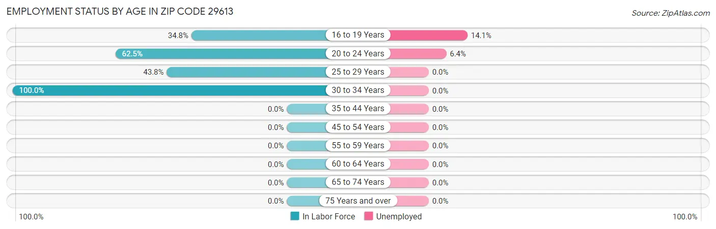 Employment Status by Age in Zip Code 29613