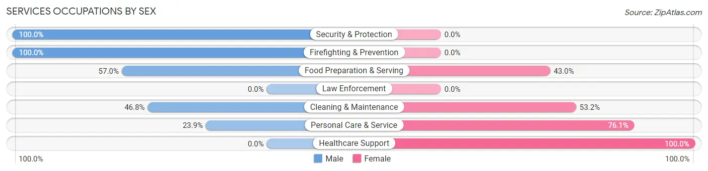 Services Occupations by Sex in Zip Code 29613