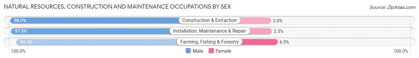 Natural Resources, Construction and Maintenance Occupations by Sex in Zip Code 29615