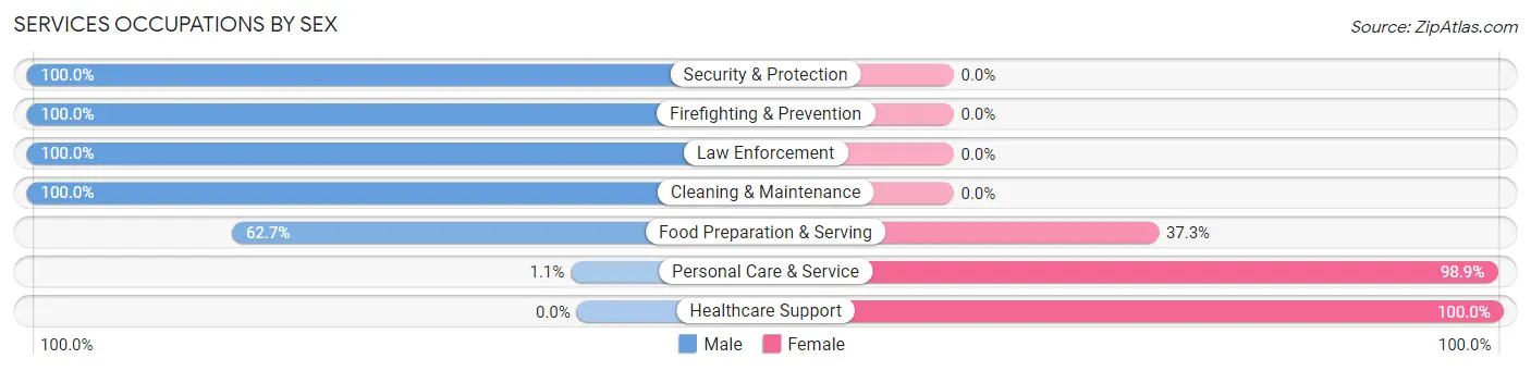 Services Occupations by Sex in Zip Code 29631