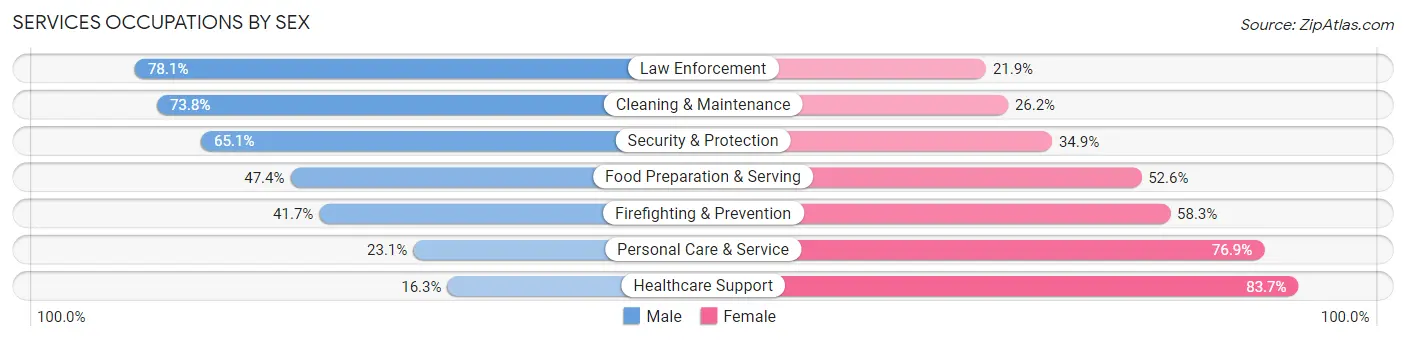 Services Occupations by Sex in Zip Code 29651