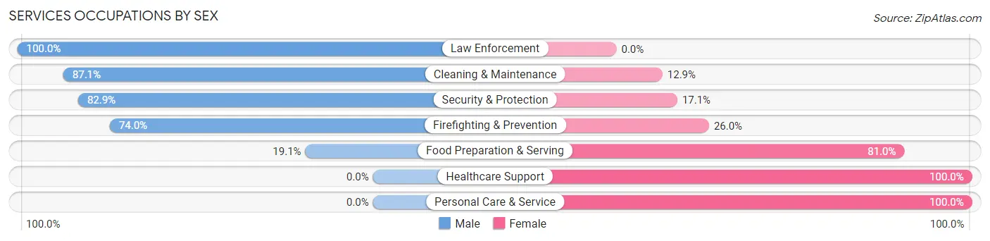Services Occupations by Sex in Zip Code 29654
