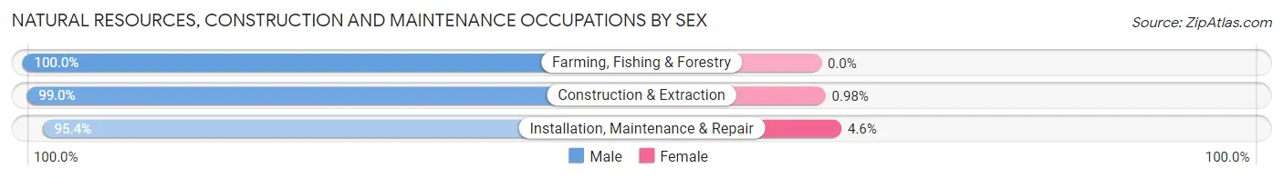 Natural Resources, Construction and Maintenance Occupations by Sex in Zip Code 29681