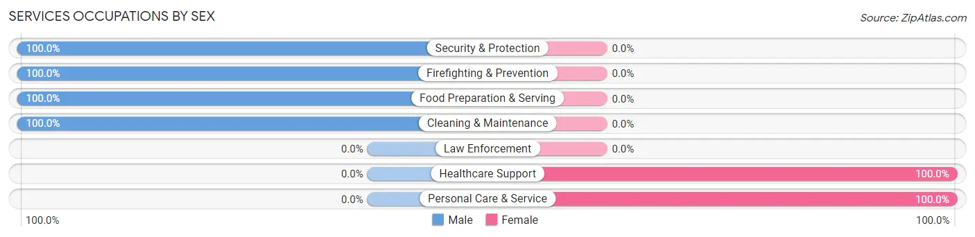 Services Occupations by Sex in Zip Code 29686