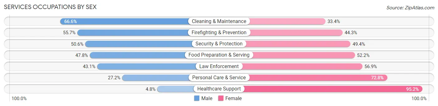 Services Occupations by Sex in Zip Code 29687