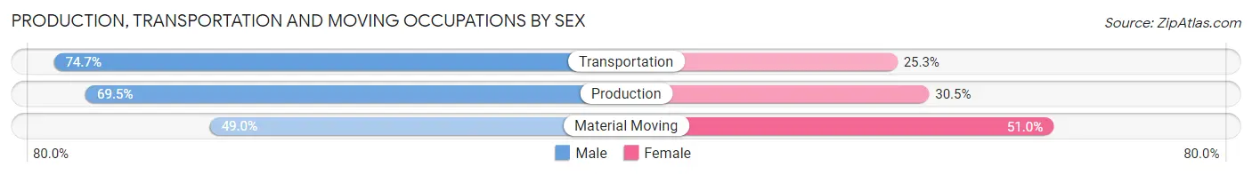 Production, Transportation and Moving Occupations by Sex in Zip Code 29690