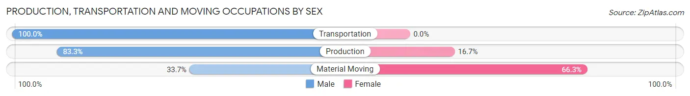 Production, Transportation and Moving Occupations by Sex in Zip Code 29707