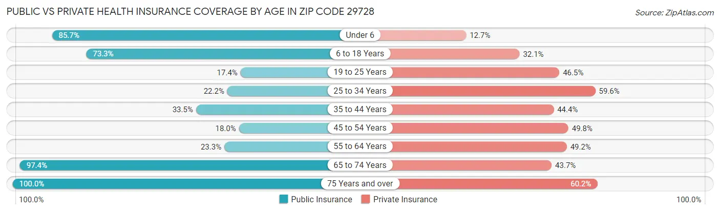 Public vs Private Health Insurance Coverage by Age in Zip Code 29728