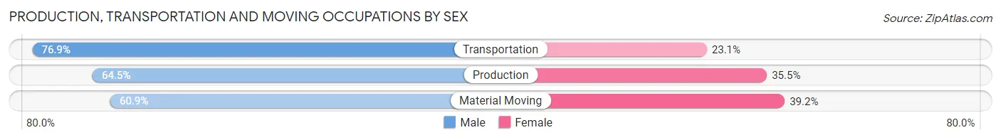 Production, Transportation and Moving Occupations by Sex in Zip Code 29730