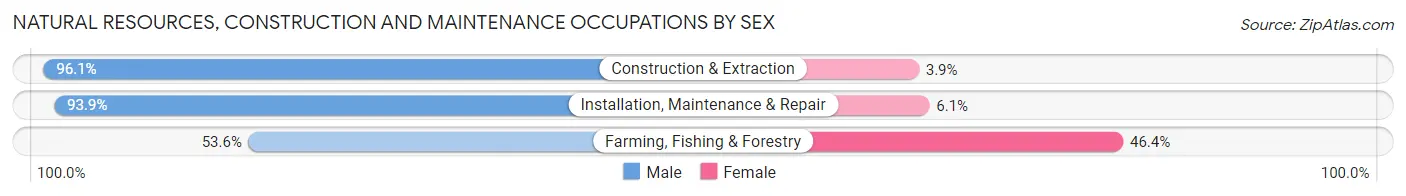 Natural Resources, Construction and Maintenance Occupations by Sex in Zip Code 29732