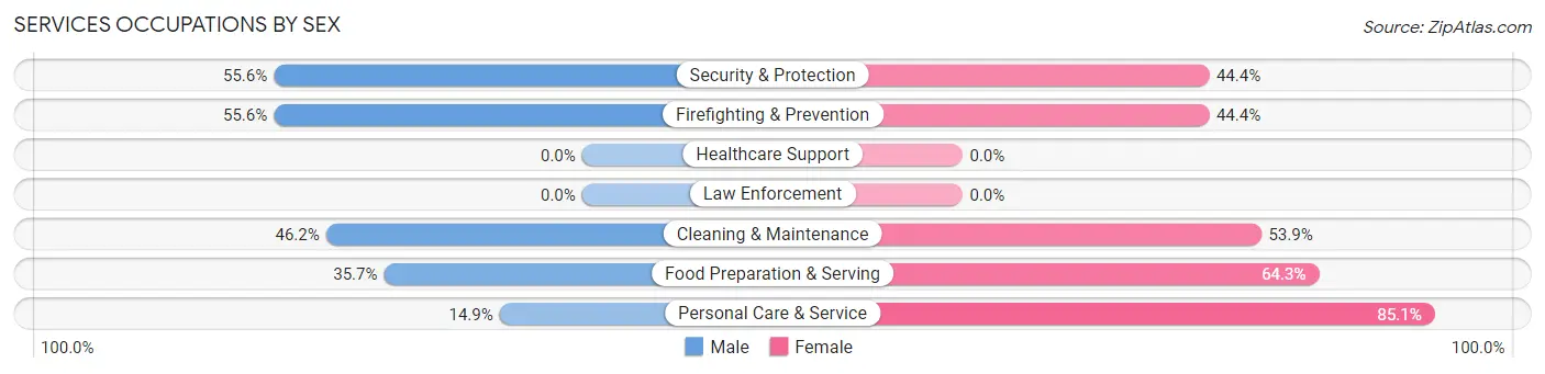 Services Occupations by Sex in Zip Code 29733