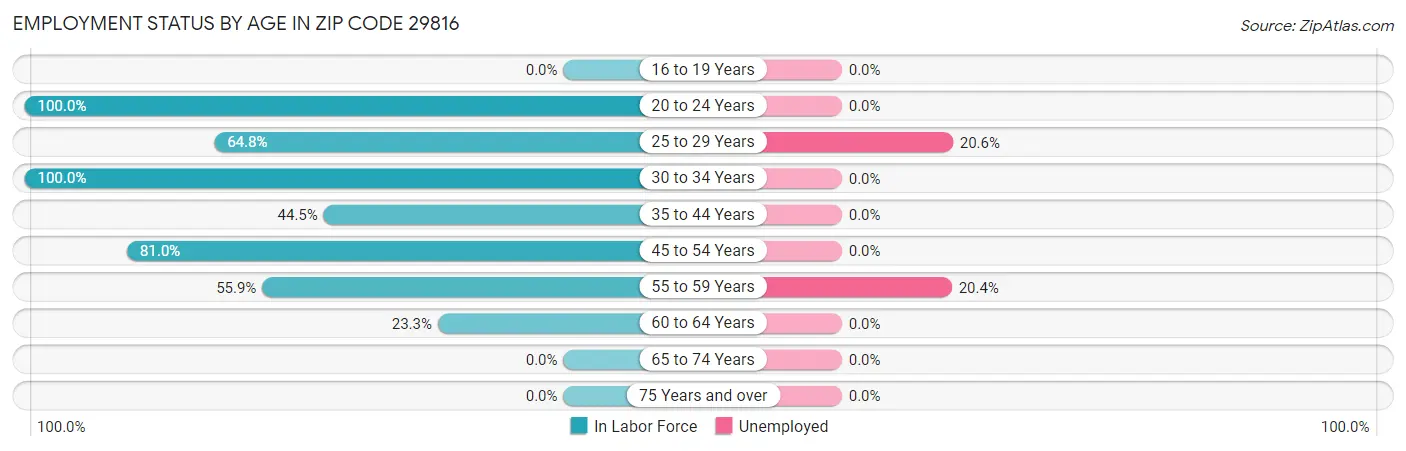 Employment Status by Age in Zip Code 29816