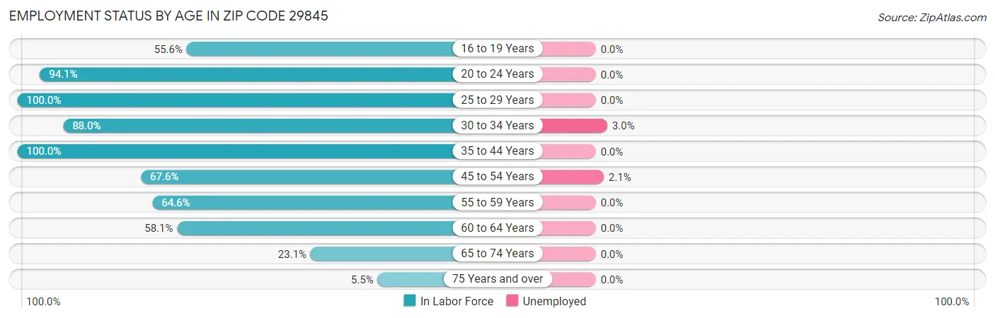 Employment Status by Age in Zip Code 29845