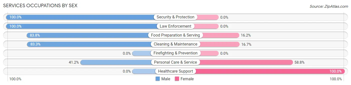 Services Occupations by Sex in Zip Code 29845