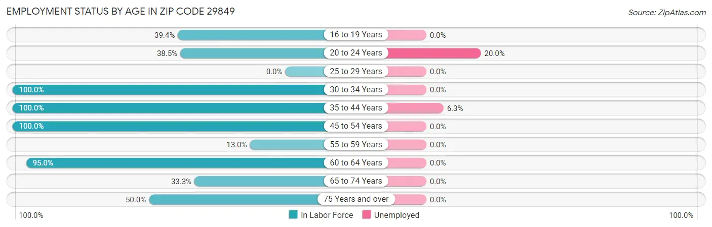 Employment Status by Age in Zip Code 29849