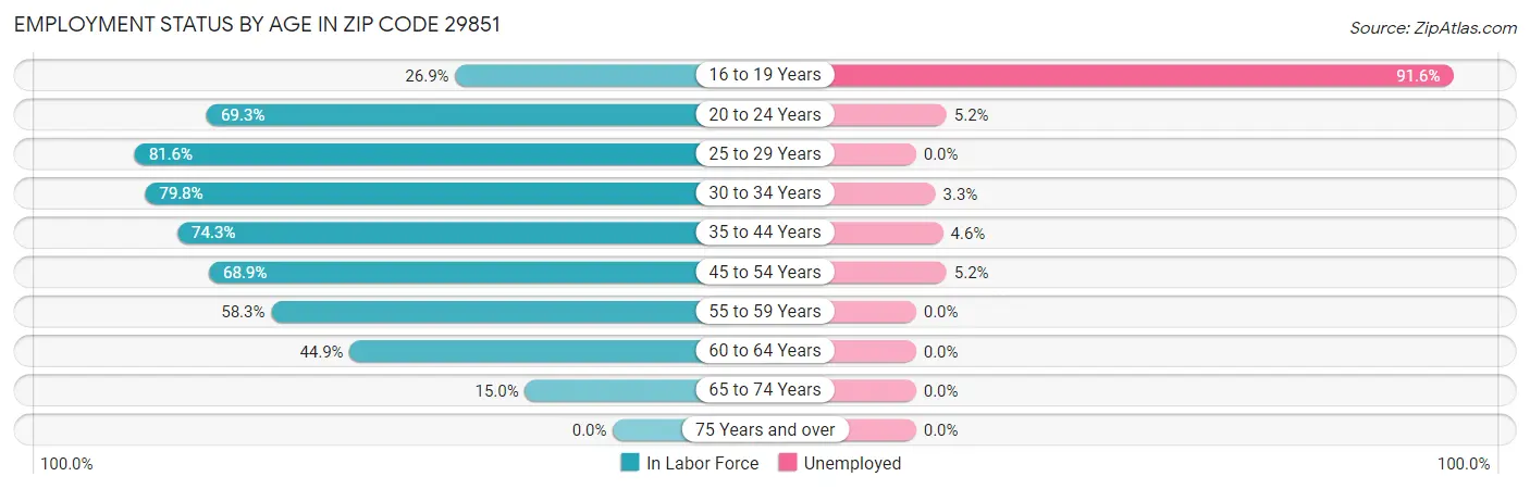 Employment Status by Age in Zip Code 29851