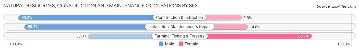 Natural Resources, Construction and Maintenance Occupations by Sex in Zip Code 30034