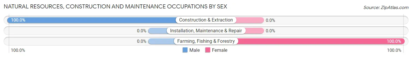 Natural Resources, Construction and Maintenance Occupations by Sex in Zip Code 30118