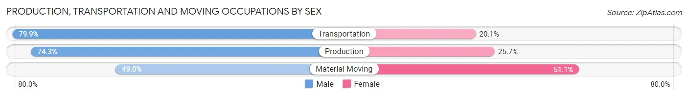 Production, Transportation and Moving Occupations by Sex in Zip Code 30269