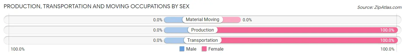 Production, Transportation and Moving Occupations by Sex in Zip Code 30285