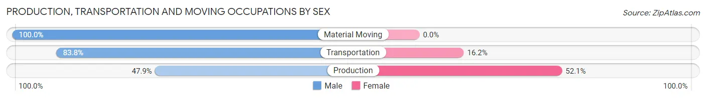 Production, Transportation and Moving Occupations by Sex in Zip Code 30290