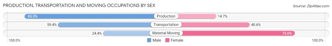 Production, Transportation and Moving Occupations by Sex in Zip Code 30295