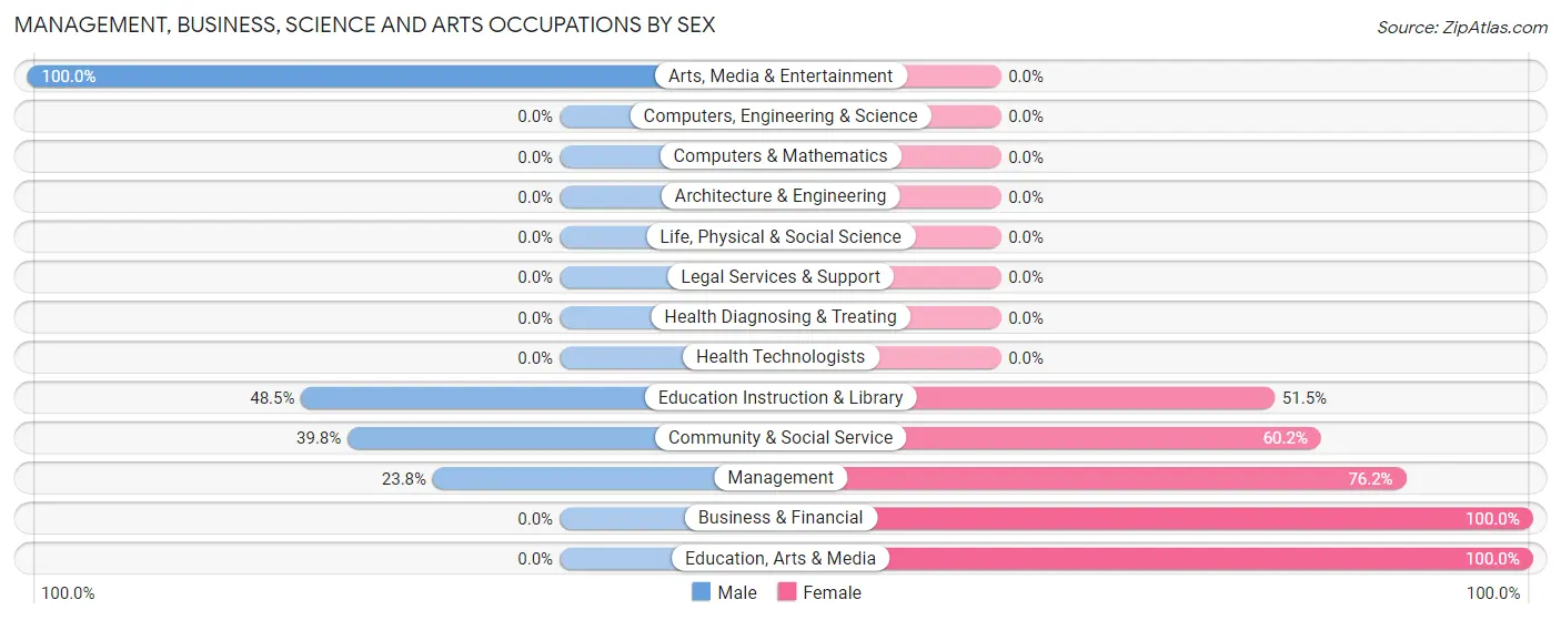 Management, Business, Science and Arts Occupations by Sex in Zip Code 30322