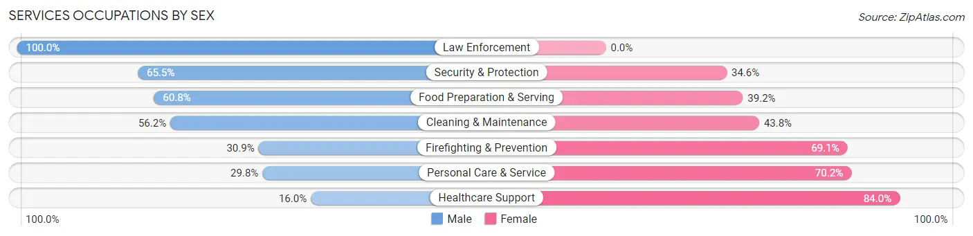 Services Occupations by Sex in Zip Code 30338
