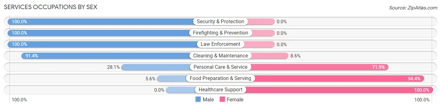 Services Occupations by Sex in Zip Code 30543
