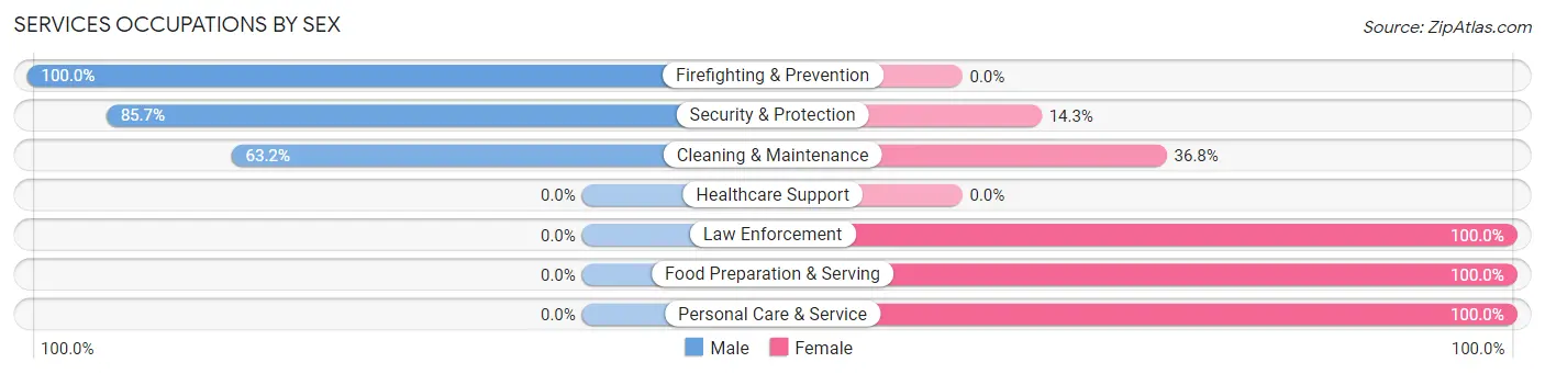 Services Occupations by Sex in Zip Code 31303